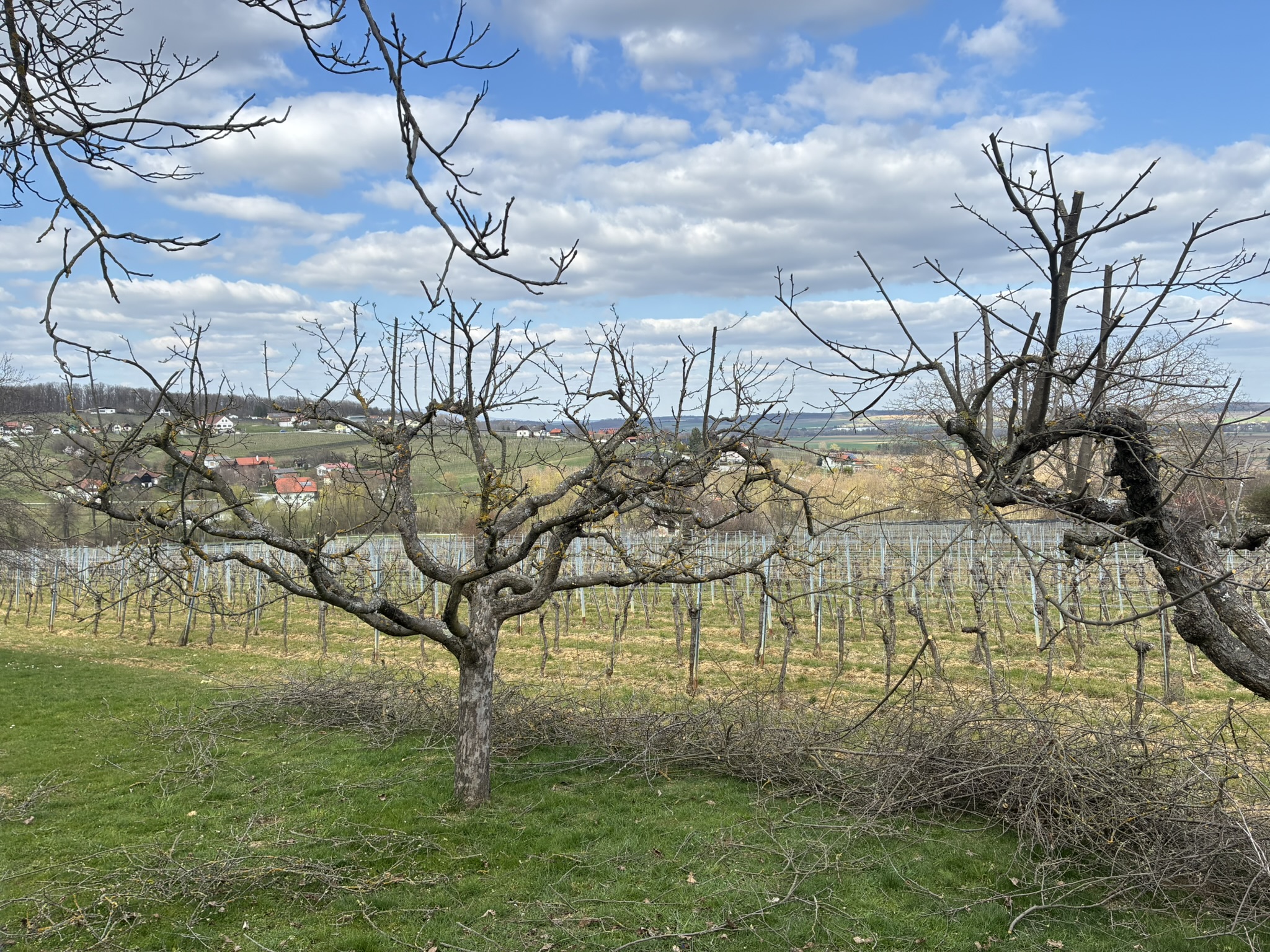 Gartenarbeit